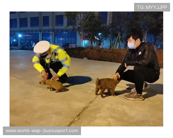 哈兰德被拍在街头为流浪狗买食物，朴素举动暖心