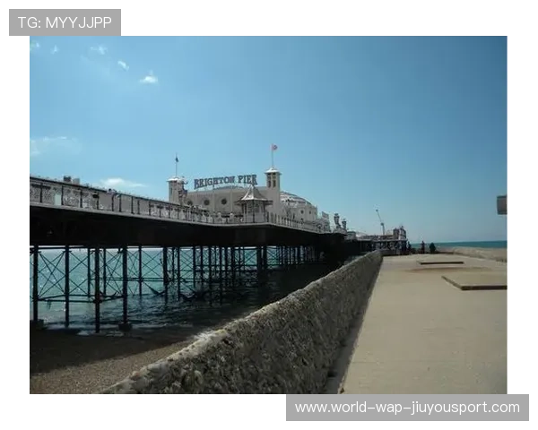 布莱顿准备在欧洲租借市场抢占先机 布莱顿准备在欧洲租借市场抢占先机